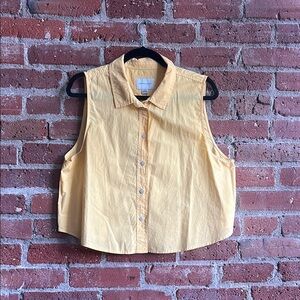 American Eagle Outfitters Yellow Sleeveless Button Down Shirt